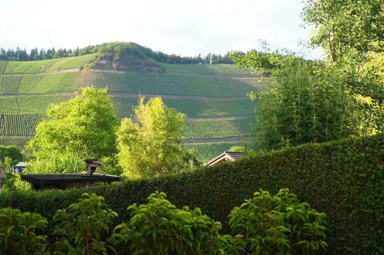 Mosel-Auszeit Apartment Brauneberg Exterior foto